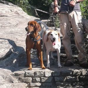 Meet your Posher, Kevin